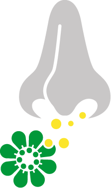 Pollen entering nose icon