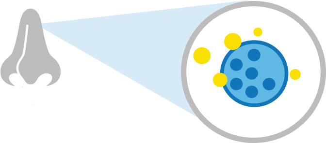 Allergy causes icon