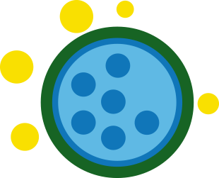 Allergy causes icon