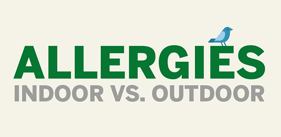 Outdoor Vs Indoor Allergies Quiz Flonase