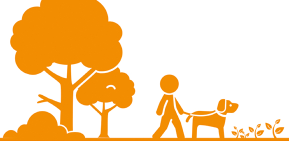 nasal spray for dogs